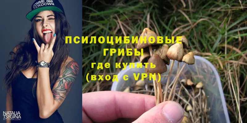 Галлюциногенные грибы Magic Shrooms  купить закладку  Бикин 